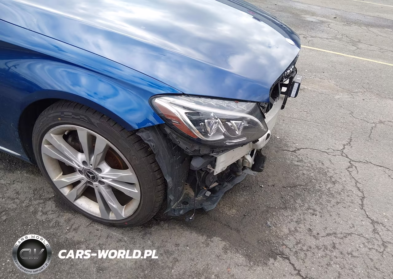 2018 Mercedes-Benz C 300 VIN:55SWF4JB8JU218608 - 17