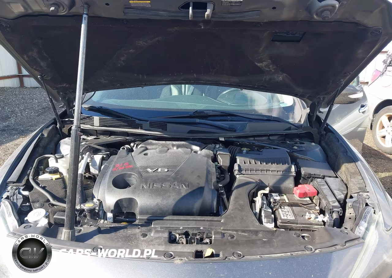 2016 Nissan Maxima 3.5 Sl VIN:1N4AA6AP5GC388664 - 10