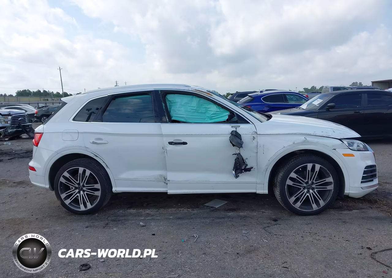 2019 Audi Sq5 3.0T Premium VIN:WA1B4AFY8K2081153 - 13