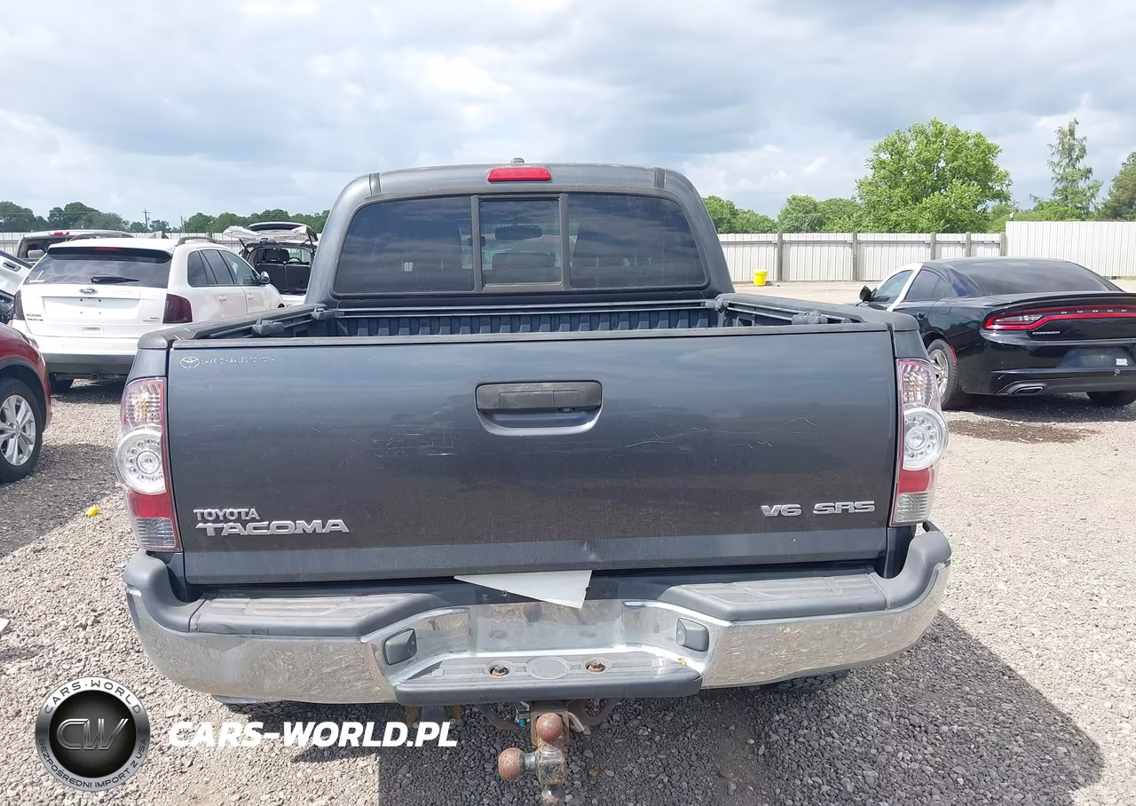 2009 Toyota Tacoma Base V6 VIN:3TMLU42N59M036486 - 17