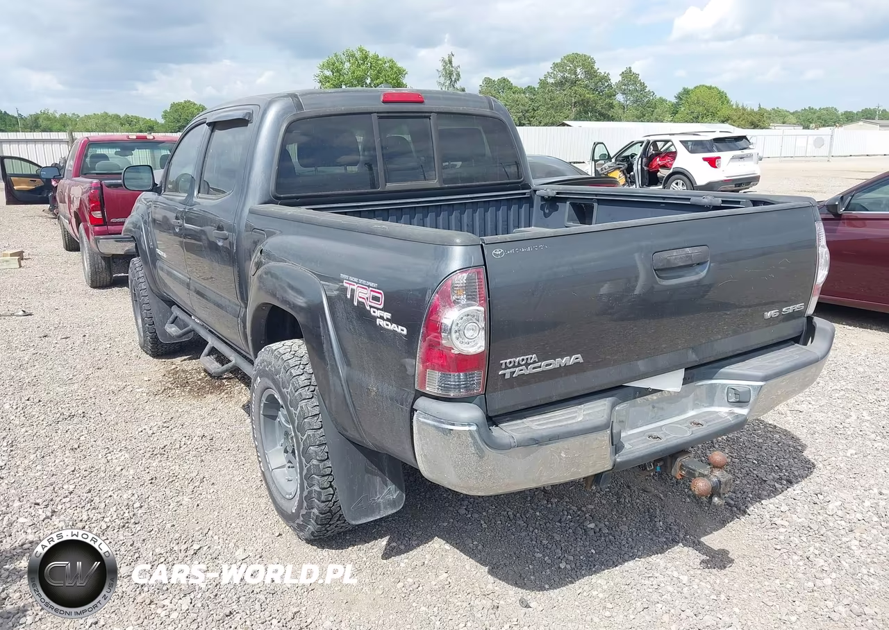 2009 Toyota Tacoma Base V6 VIN:3TMLU42N59M036486 - 3
