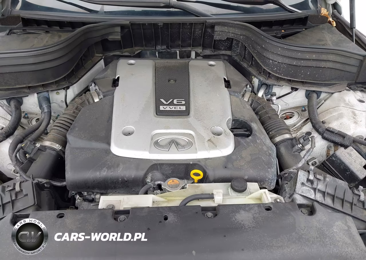 2017 Infiniti Qx50 VIN:JN1BJ0RR9HM403053 - 10