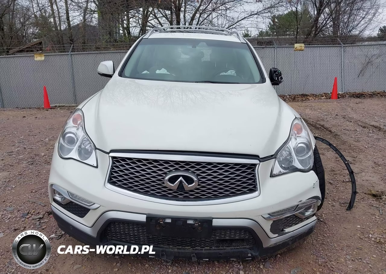 2017 Infiniti Qx50 VIN:JN1BJ0RR9HM403053 - 13