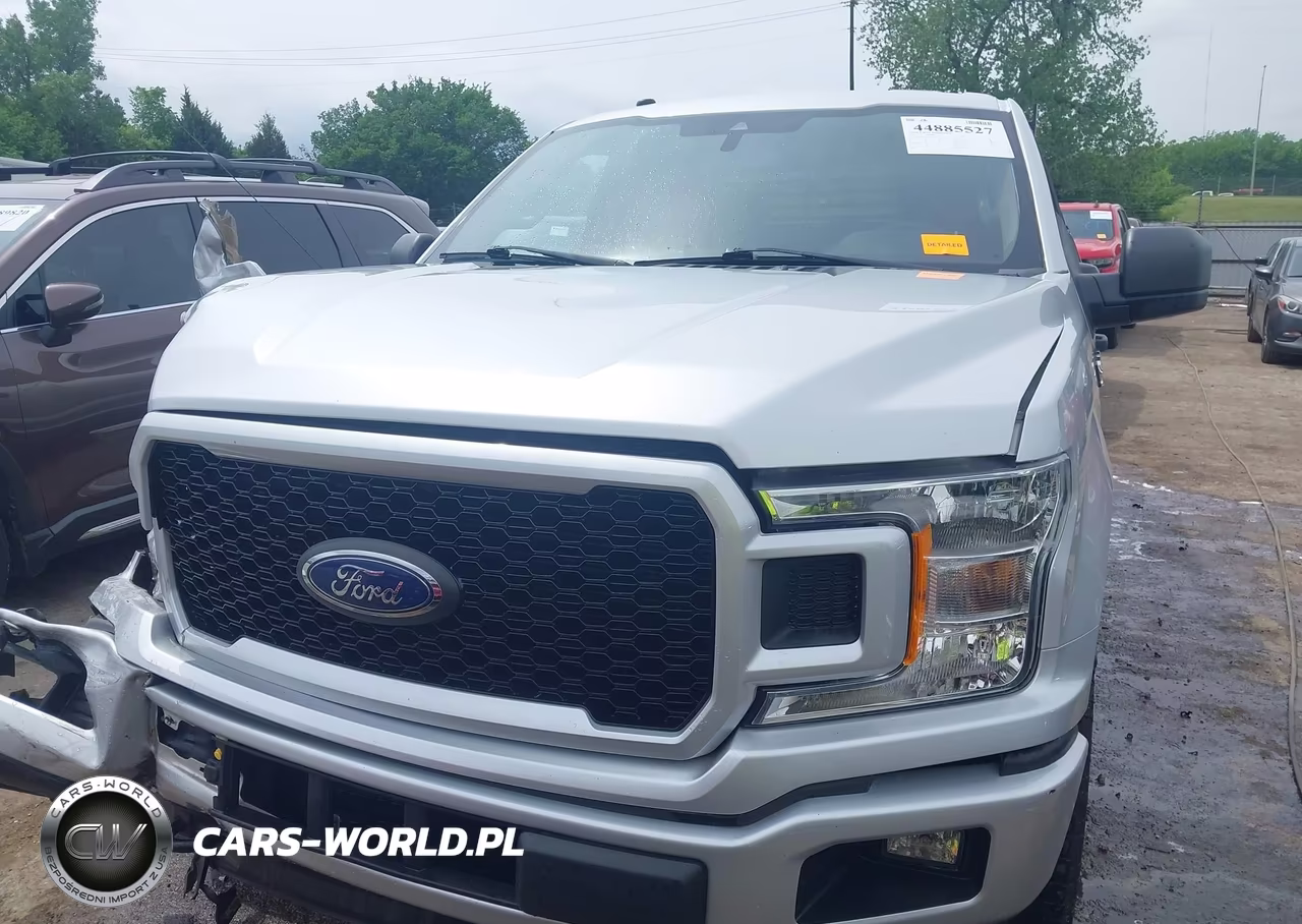 2019 Ford F-150 Xl VIN:1FTEX1EP2KKE21318 - 12