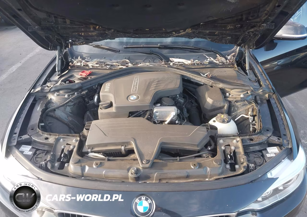 2016 BMW 428I Gran Coupe VIN:WBA4A9C50GG508090 - 10