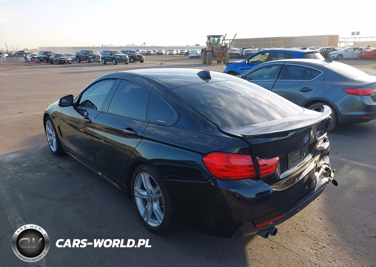 2016 BMW 428I Gran Coupe VIN:WBA4A9C50GG508090 - 3