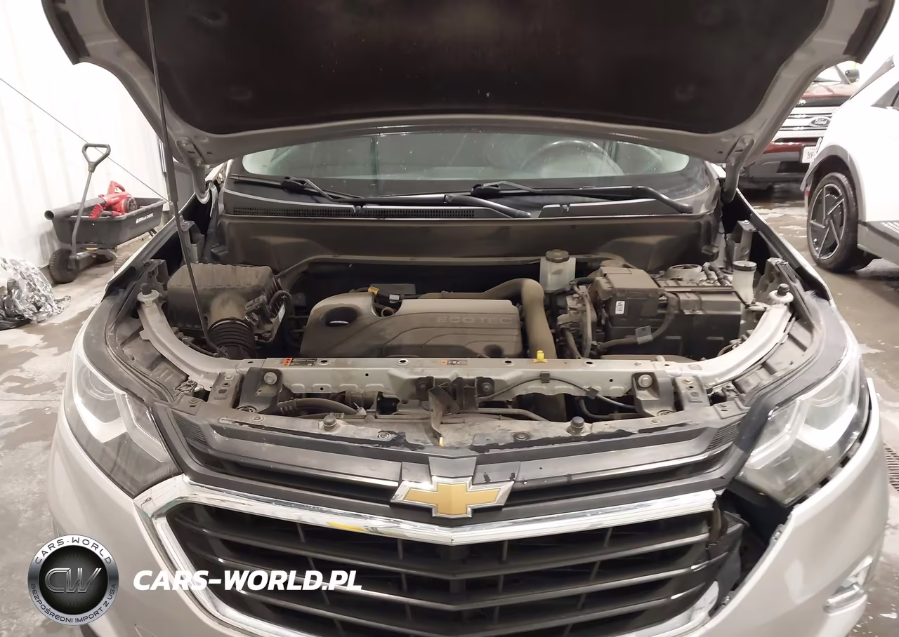 2019 Chevrolet Equinox Lt VIN:2GNAXUEV3K6270823 - 10