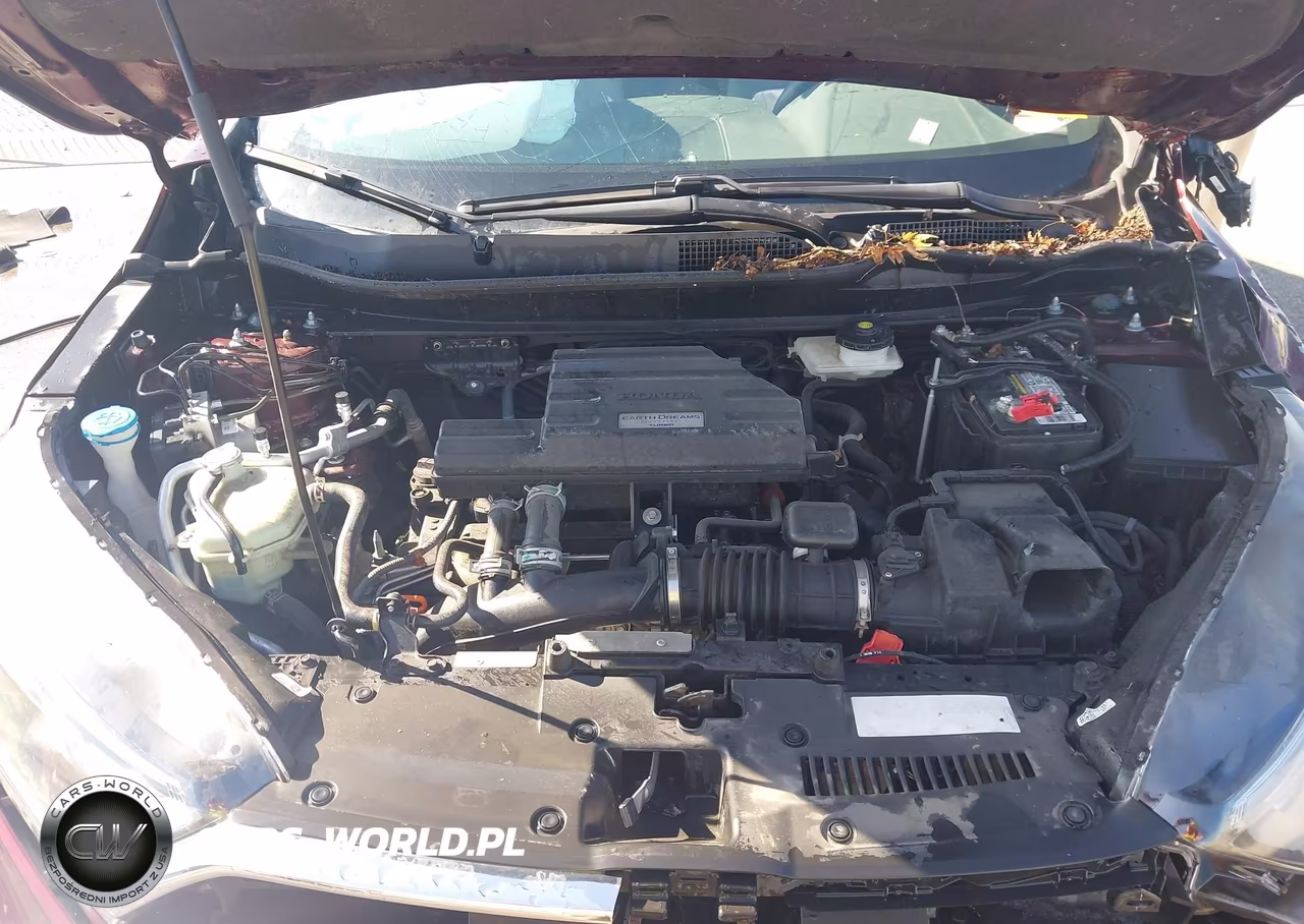 2019 Honda Cr-V Ex VIN:7FARW2H55KE007486 - 10