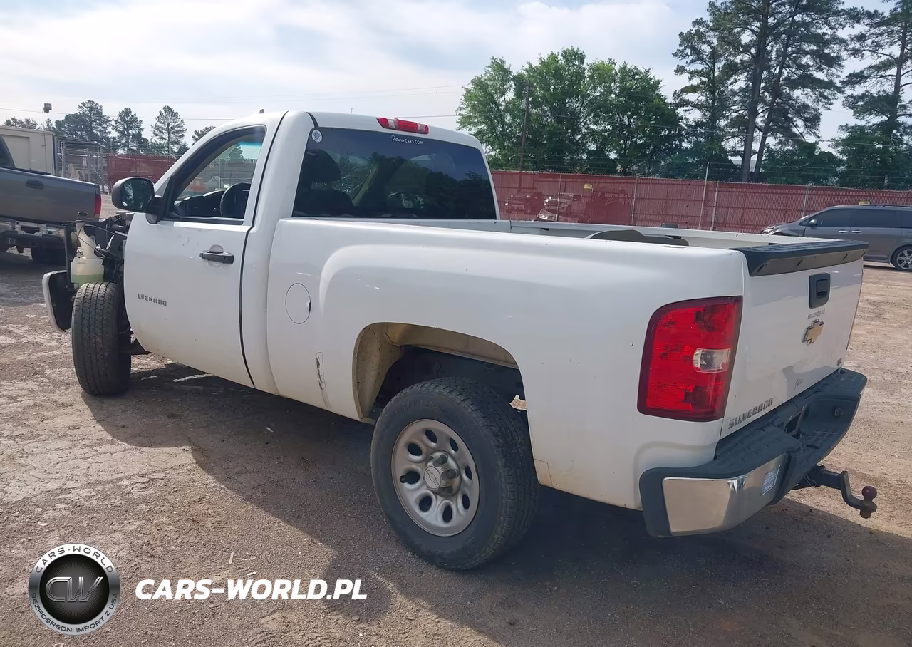 2010 Chevrolet Silverado 1500 Work Truck VIN:1GCPCPEX5AZ281195 - 3