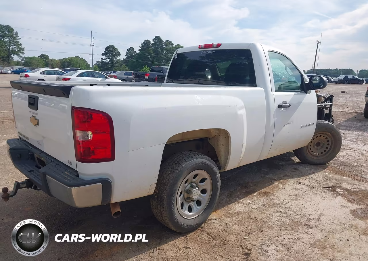 2010 Chevrolet Silverado 1500 Work Truck VIN:1GCPCPEX5AZ281195 - 4