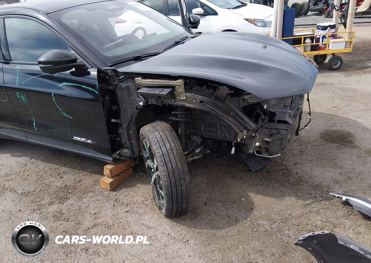 2024 Ford Mustang Mach-E Select VIN:3FMTK1SU5RMA02331 - 6