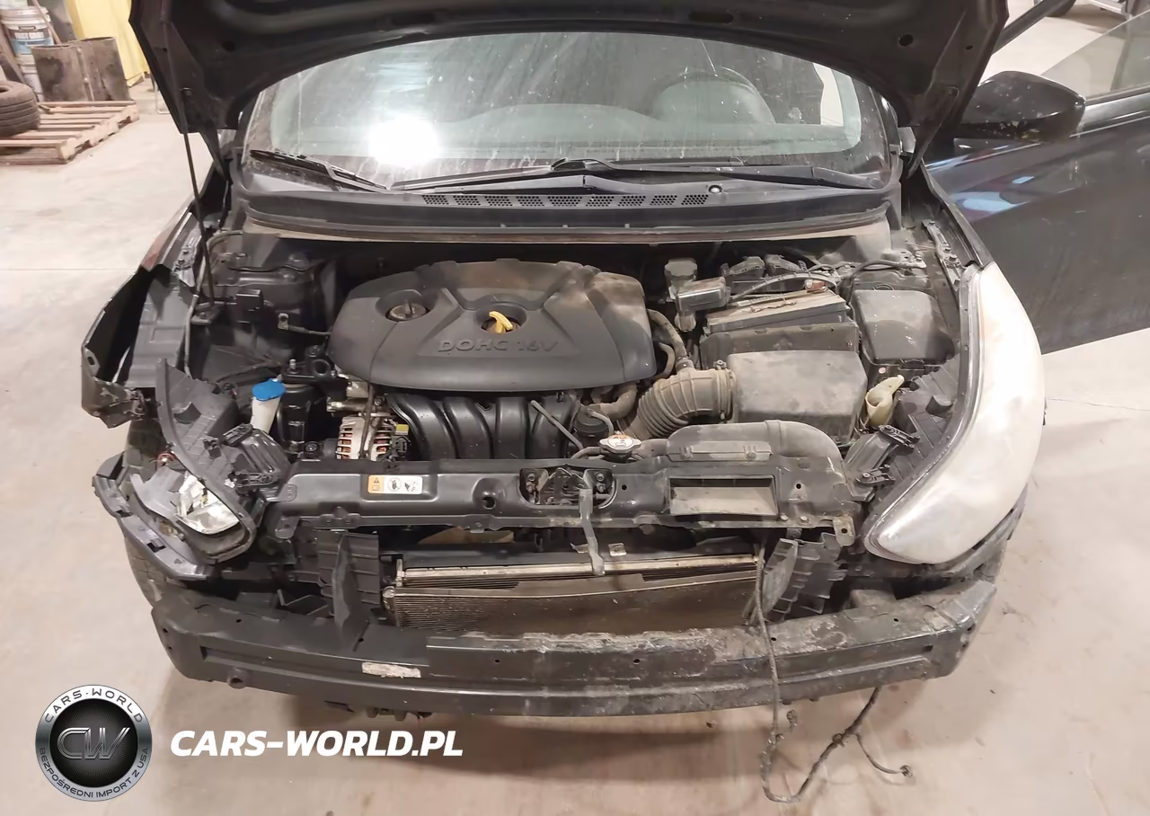 2013 Hyundai Elantra Gls VIN:5NPDH4AE7DH246399 - 10