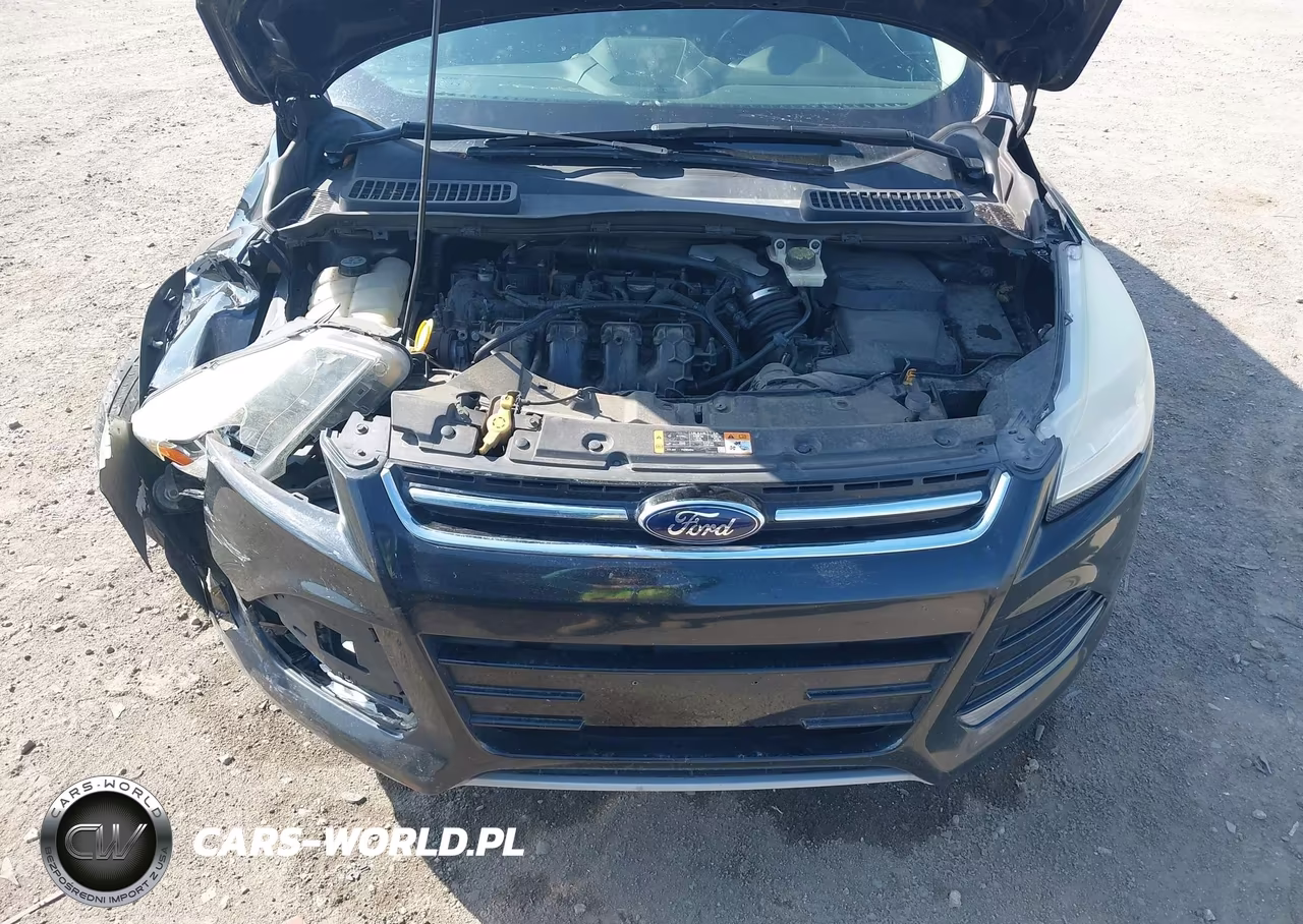 2013 Ford Escape Sel VIN:1FMCU9H95DUA25009 - 10
