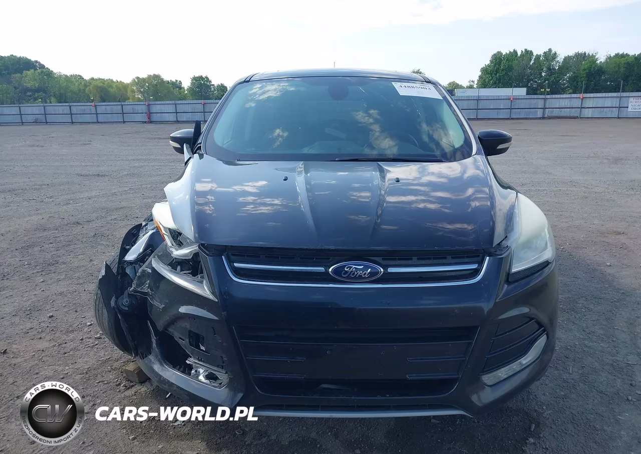 2013 Ford Escape Sel VIN:1FMCU9H95DUA25009 - 12
