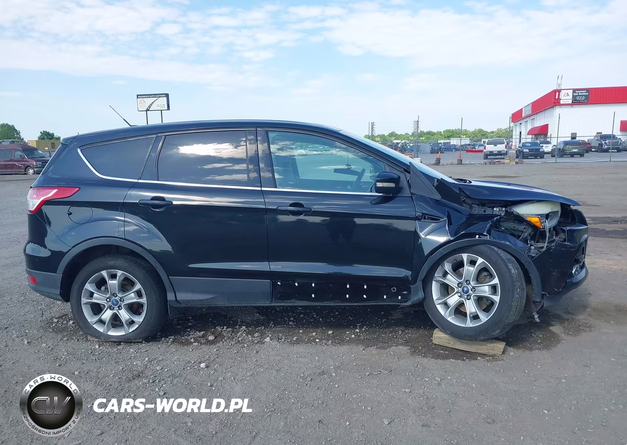 2013 Ford Escape Sel VIN:1FMCU9H95DUA25009 - 13