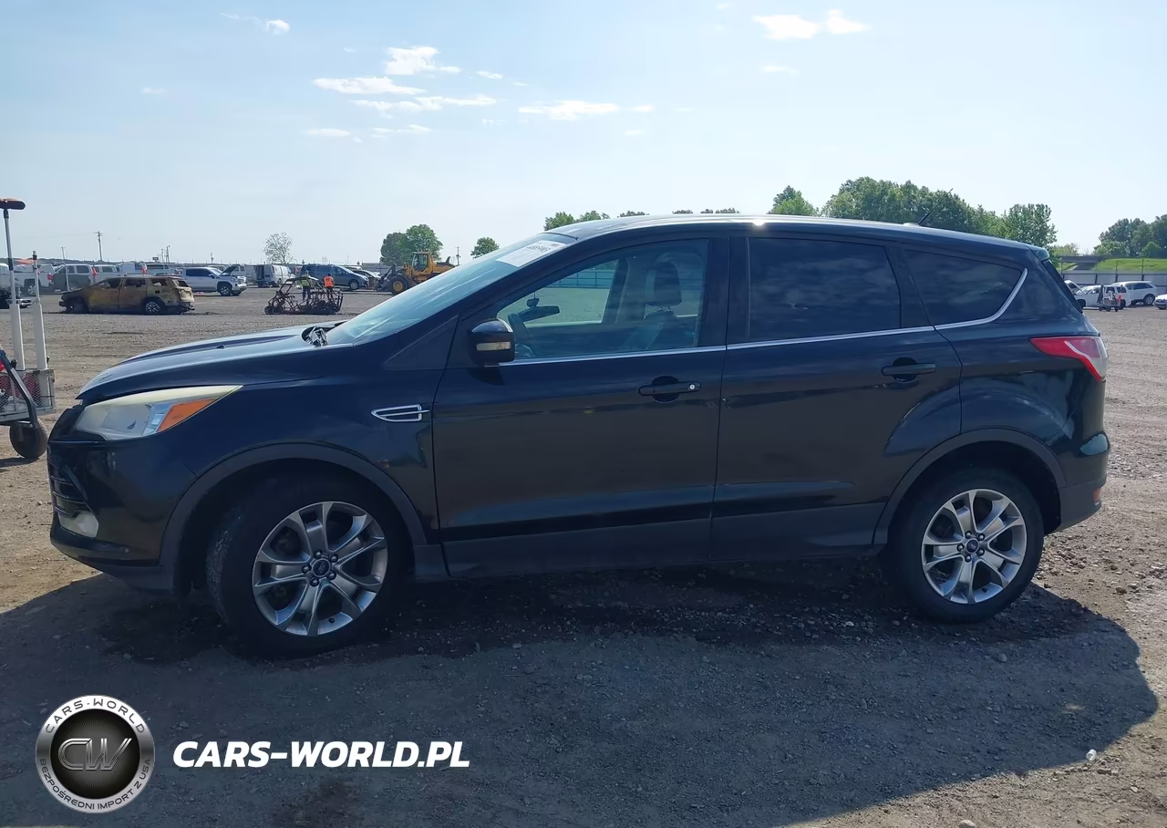 2013 Ford Escape Sel VIN:1FMCU9H95DUA25009 - 14