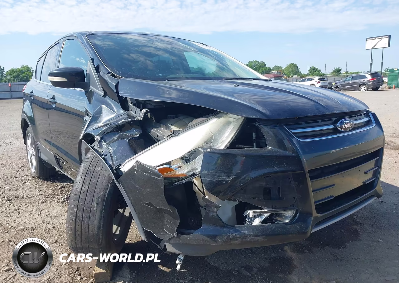 2013 Ford Escape Sel VIN:1FMCU9H95DUA25009 - 19
