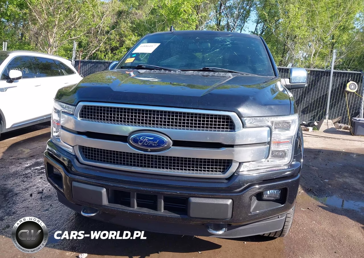 2019 Ford F-150 Platinum VIN:1FTEW1E48KFD14372 - 12