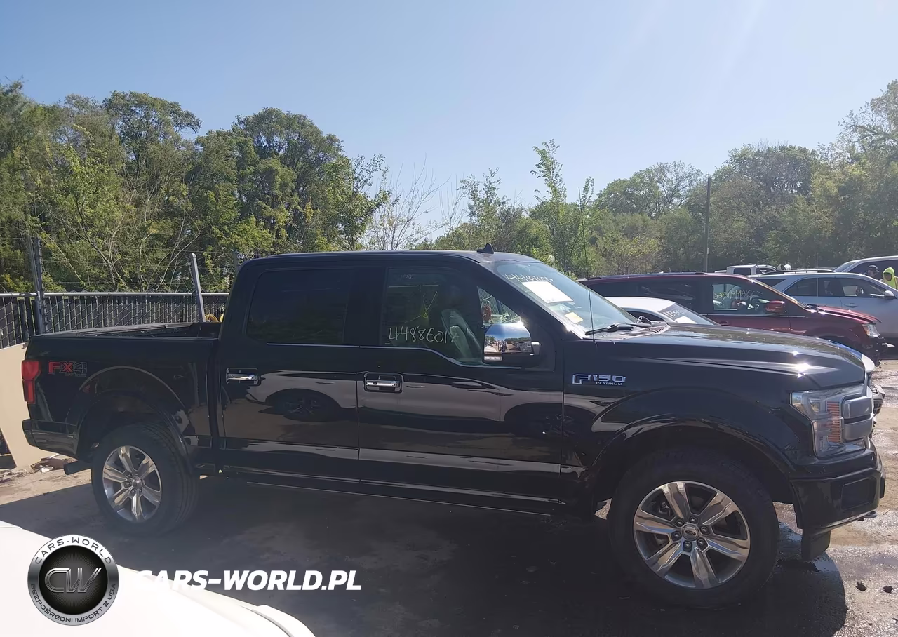 2019 Ford F-150 Platinum VIN:1FTEW1E48KFD14372 - 13