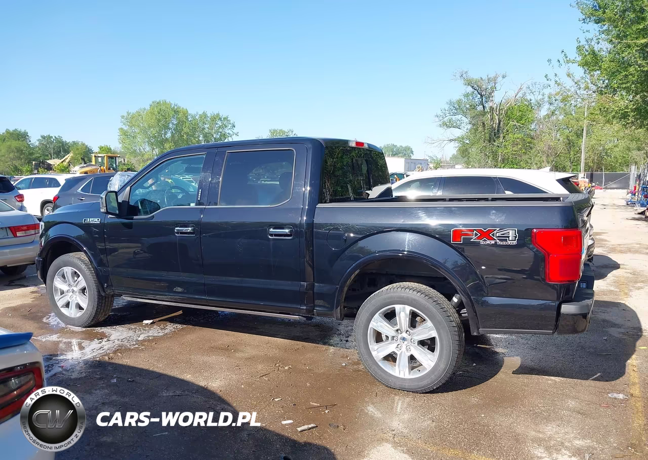 2019 Ford F-150 Platinum VIN:1FTEW1E48KFD14372 - 14