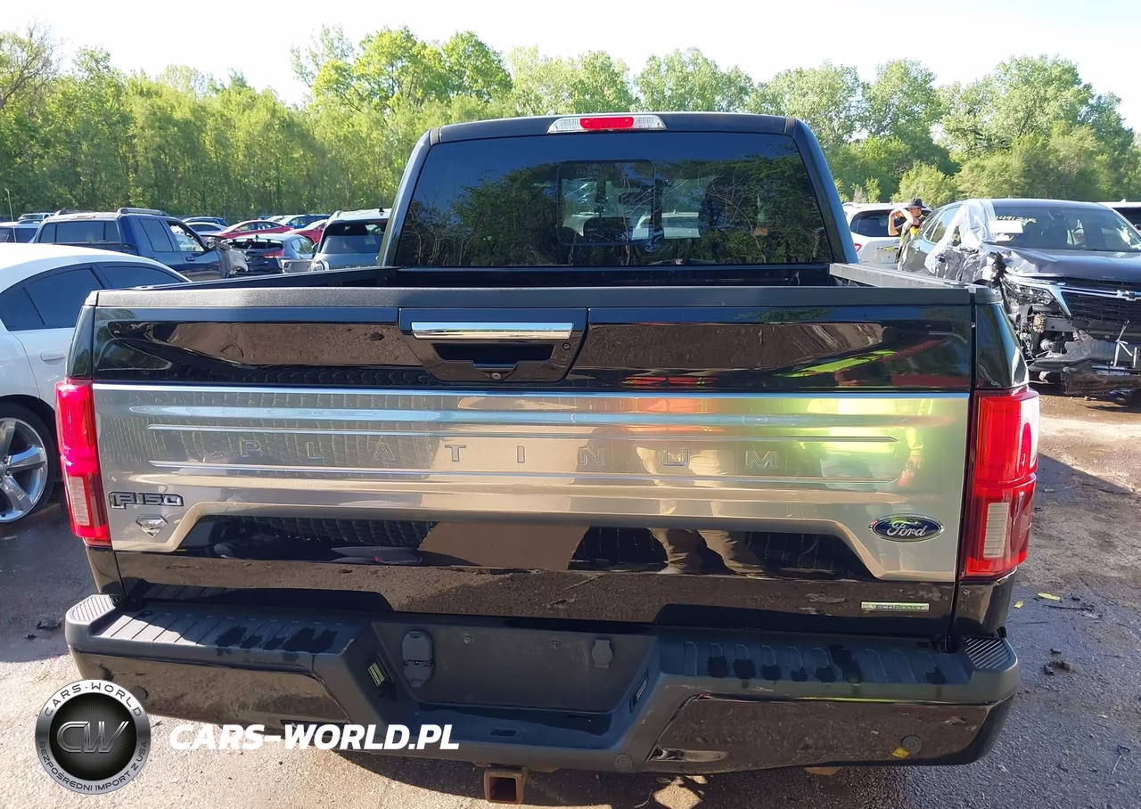 2019 Ford F-150 Platinum VIN:1FTEW1E48KFD14372 - 16