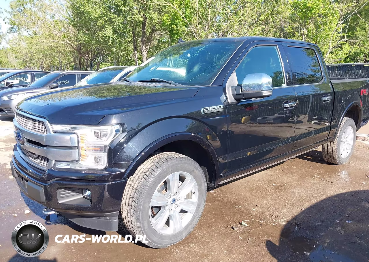 2019 Ford F-150 Platinum VIN:1FTEW1E48KFD14372 - 2