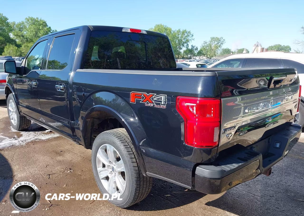 2019 Ford F-150 Platinum VIN:1FTEW1E48KFD14372 - 3