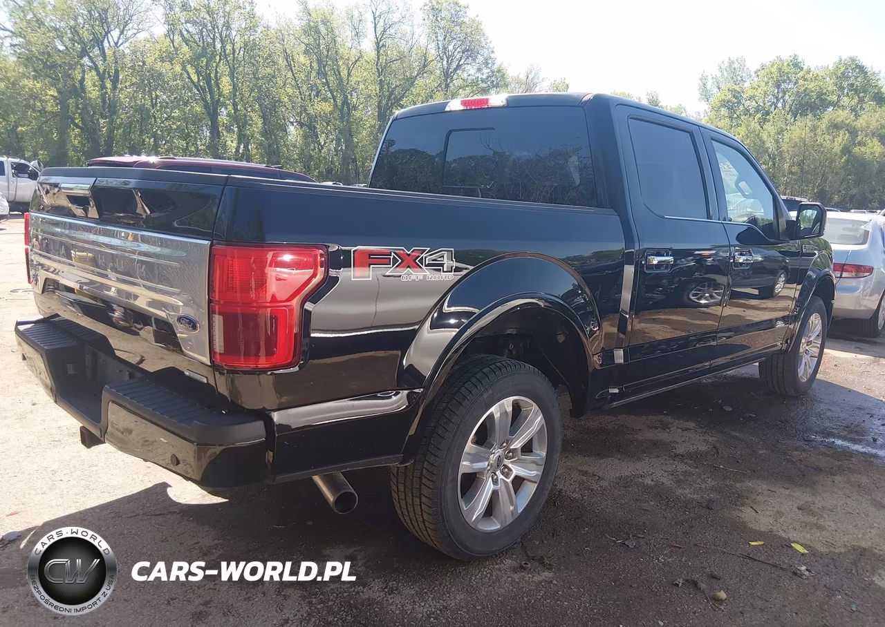2019 Ford F-150 Platinum VIN:1FTEW1E48KFD14372 - 4