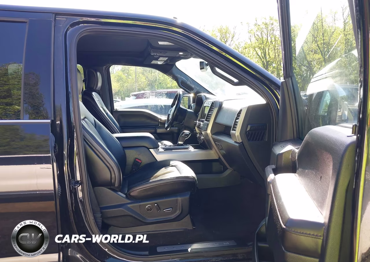 2019 Ford F-150 Platinum VIN:1FTEW1E48KFD14372 - 5