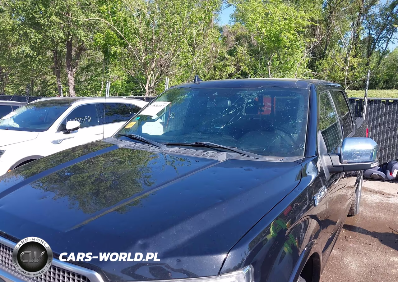 2019 Ford F-150 Platinum VIN:1FTEW1E48KFD14372 - 6