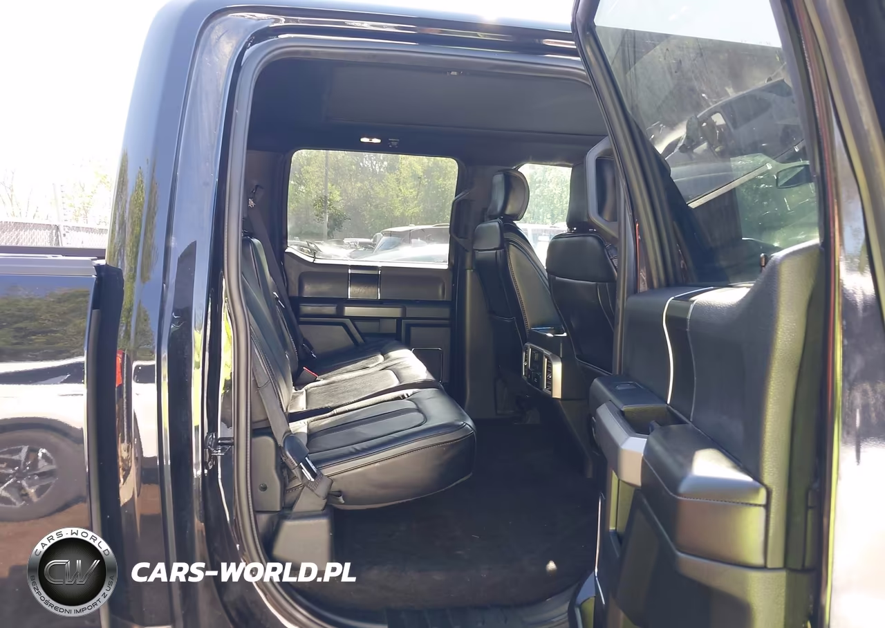 2019 Ford F-150 Platinum VIN:1FTEW1E48KFD14372 - 8