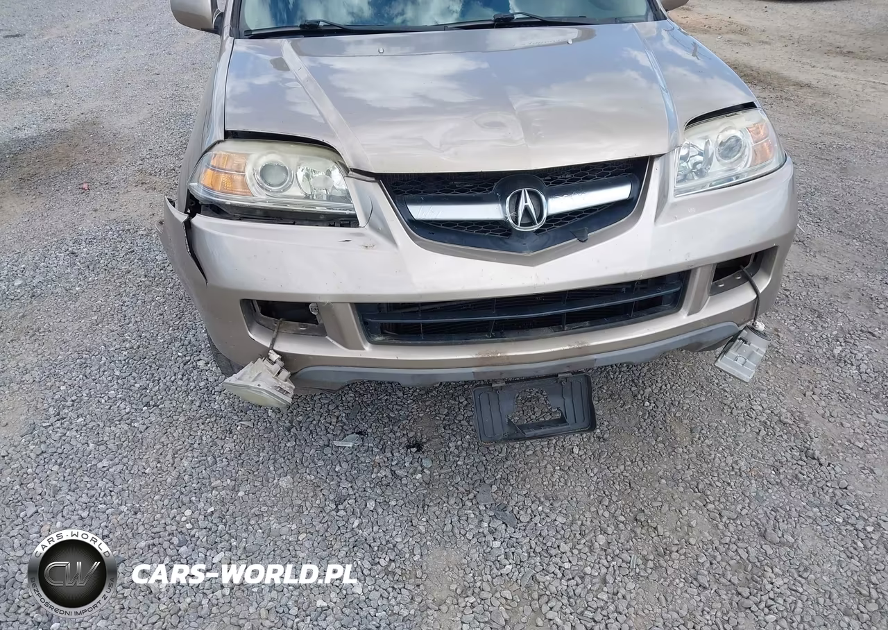 2006 Acura Mdx VIN:2HNYD186X6H510148 - 6