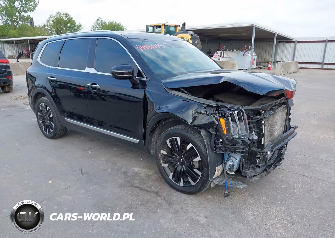 2023 Kia Telluride Sx VIN:5XYP54GC4PG349836 - 1