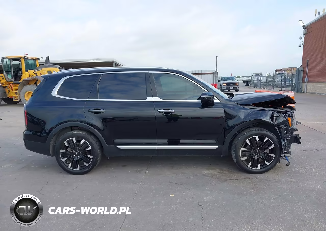 2023 Kia Telluride Sx VIN:5XYP54GC4PG349836 - 13