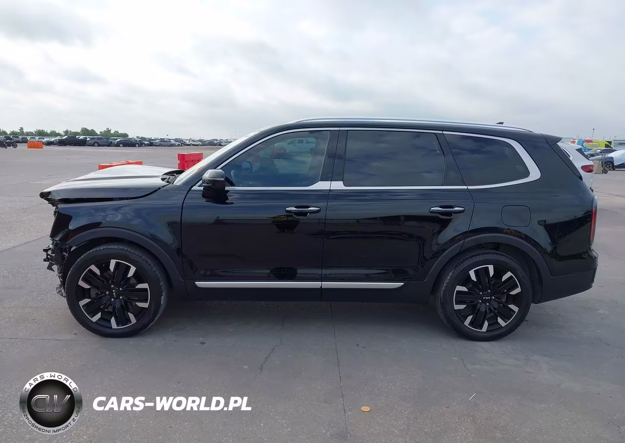 2023 Kia Telluride Sx VIN:5XYP54GC4PG349836 - 14