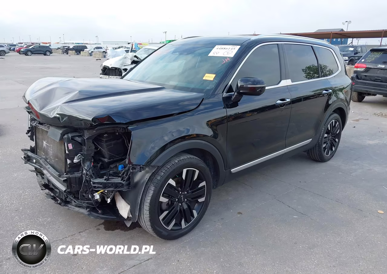 2023 Kia Telluride Sx VIN:5XYP54GC4PG349836 - 2