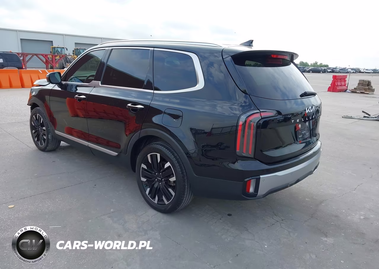 2023 Kia Telluride Sx VIN:5XYP54GC4PG349836 - 3