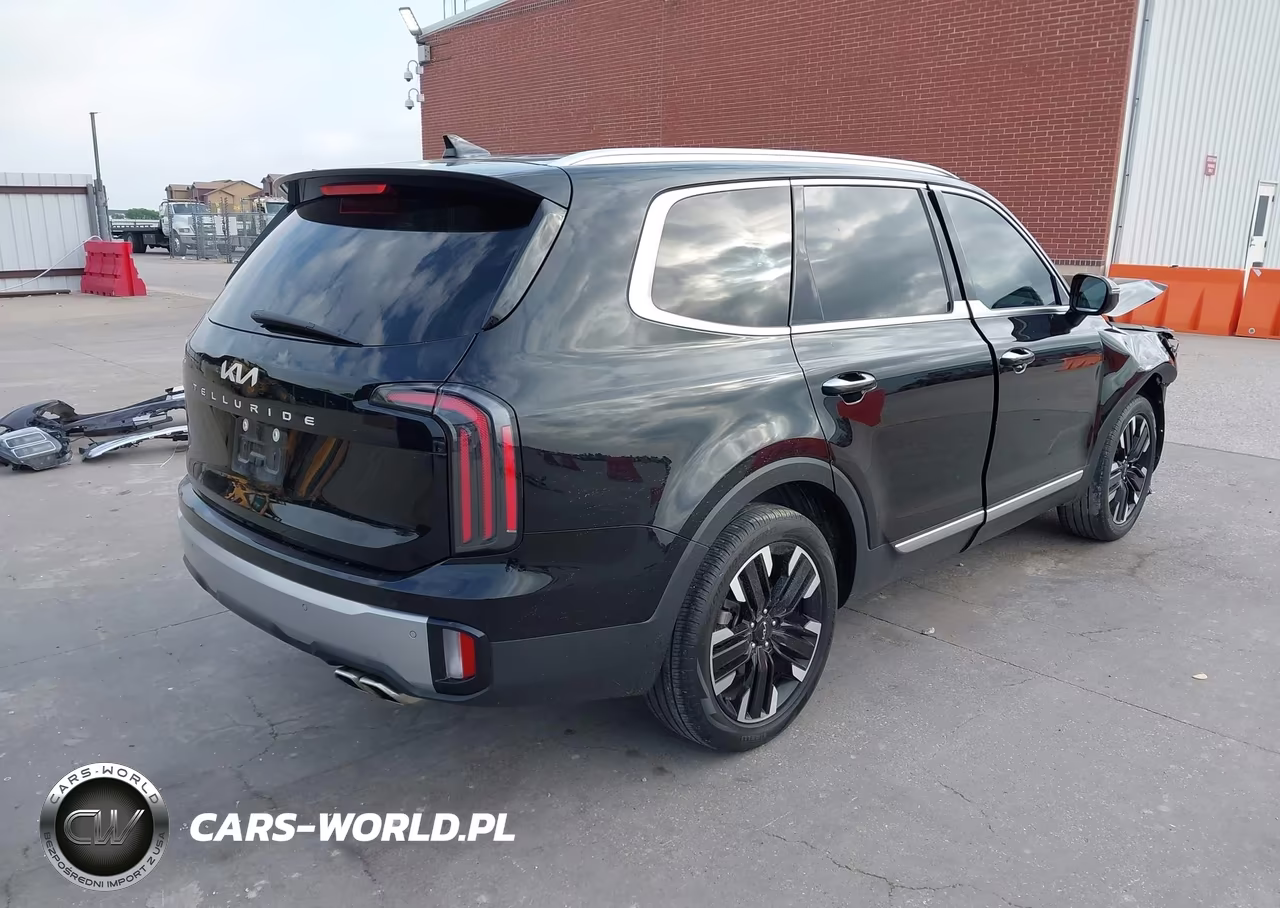 2023 Kia Telluride Sx VIN:5XYP54GC4PG349836 - 4