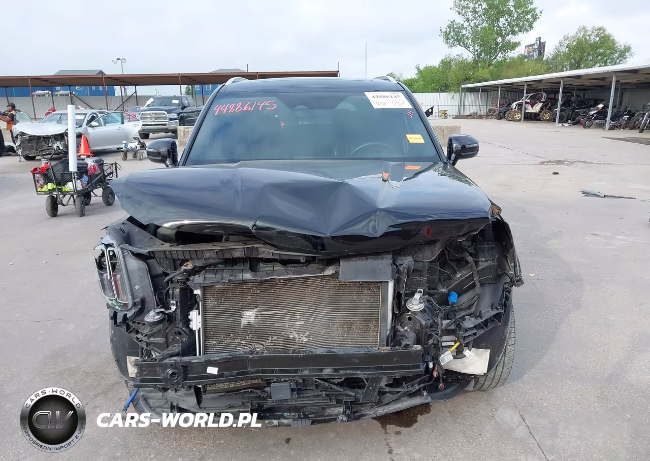 2023 Kia Telluride Sx VIN:5XYP54GC4PG349836 - 6