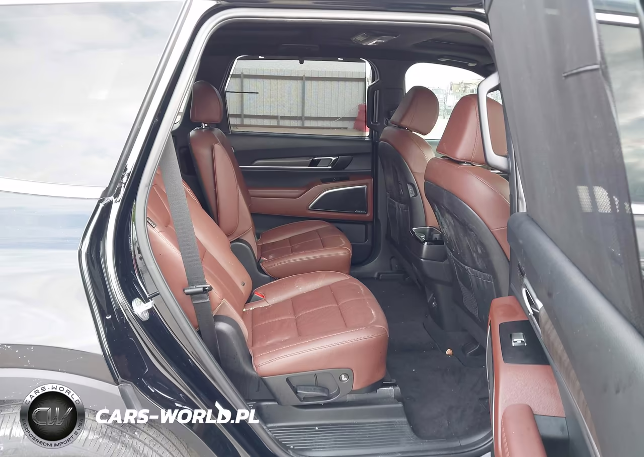 2023 Kia Telluride Sx VIN:5XYP54GC4PG349836 - 8