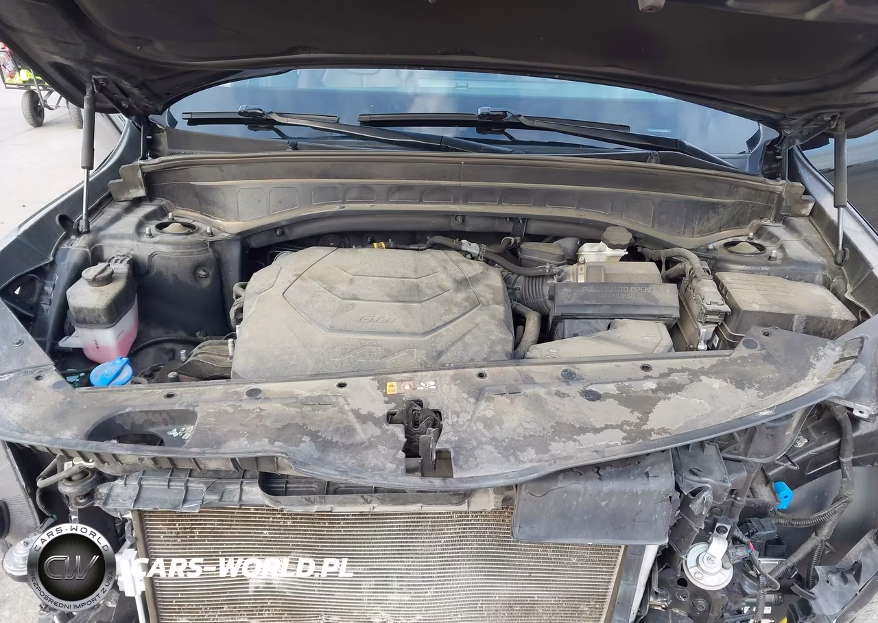 2023 Kia Telluride Sx VIN:5XYP54GC4PG349836 - 9