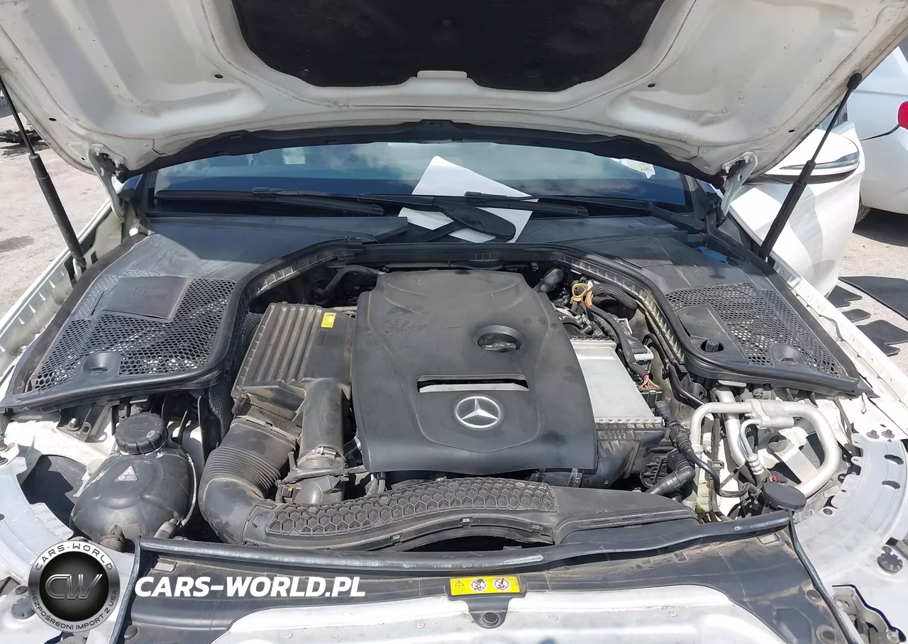 2018 Mercedes-Benz C 300 VIN:55SWF4JB9JU243775 - 10