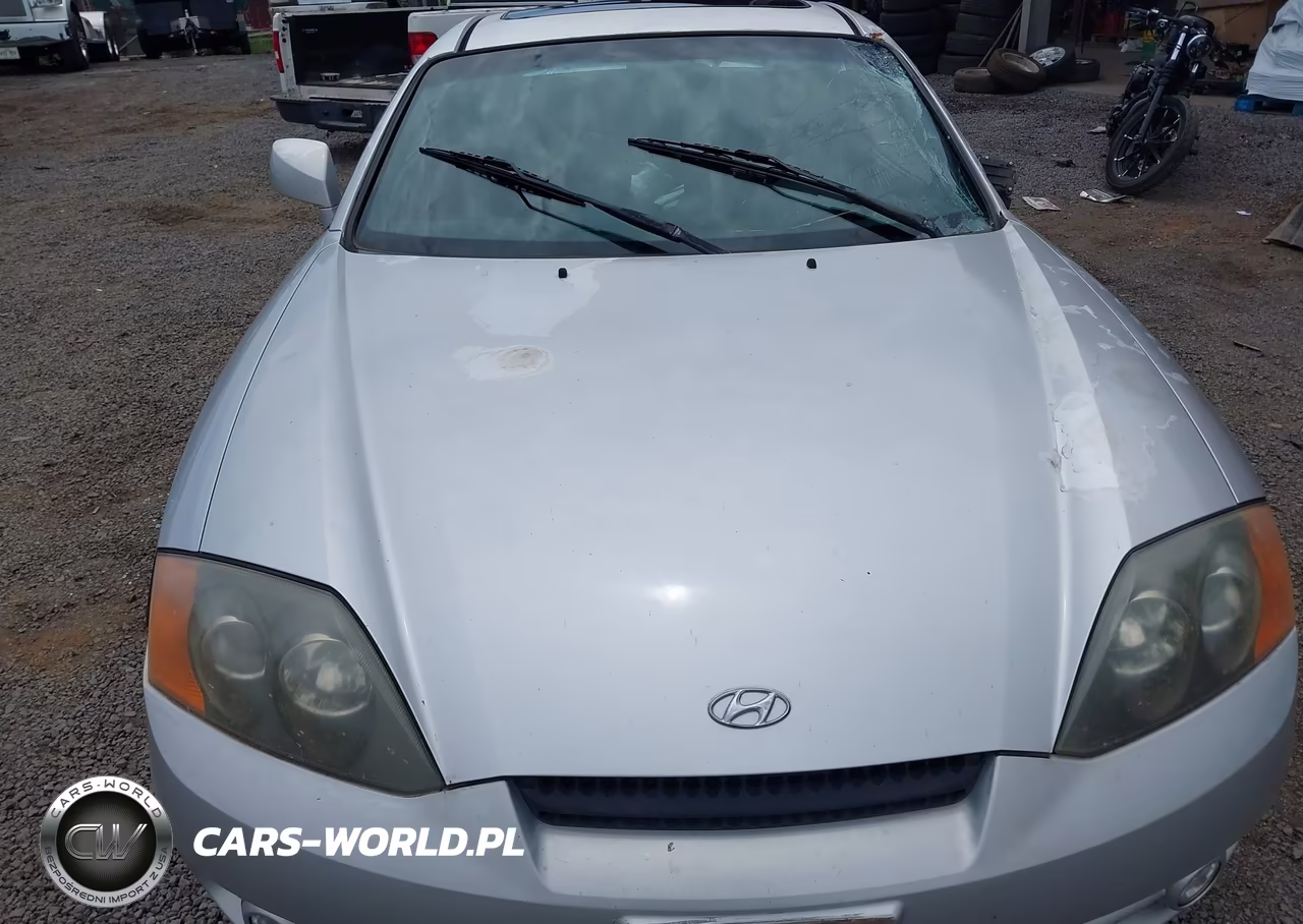 2003 Hyundai Tiburon Gt V6 VIN:KMHHN65F33U076292 - 10