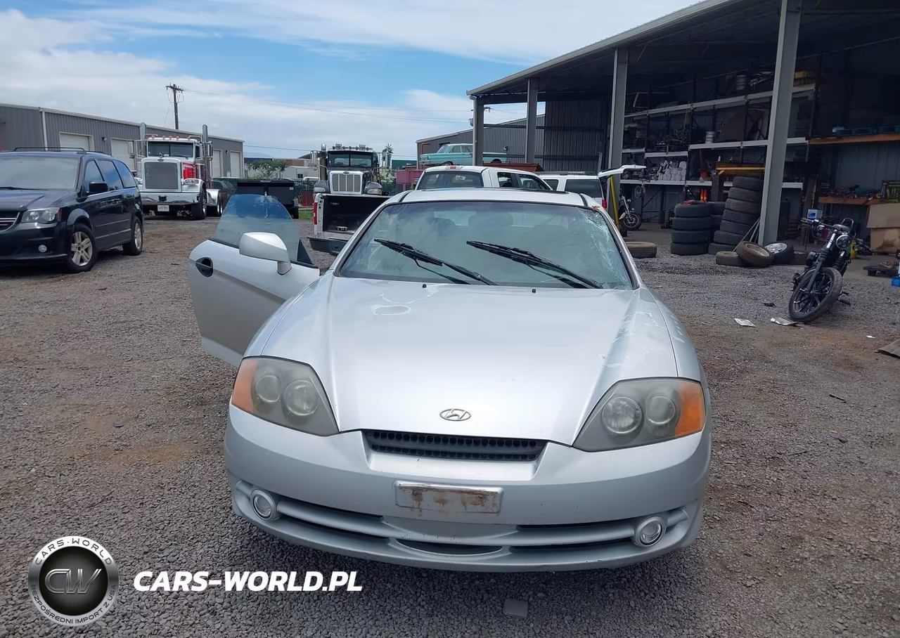 2003 Hyundai Tiburon Gt V6 VIN:KMHHN65F33U076292 - 12