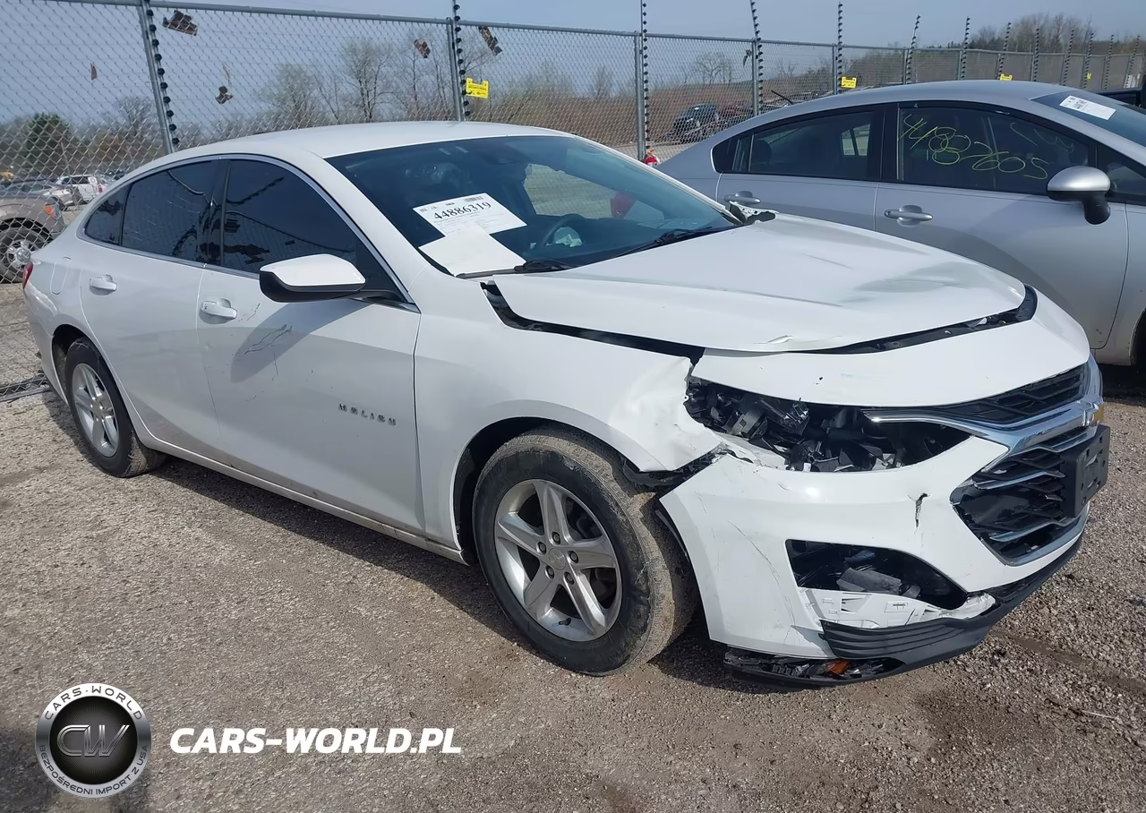 2019 Chevrolet Malibu 1Fl