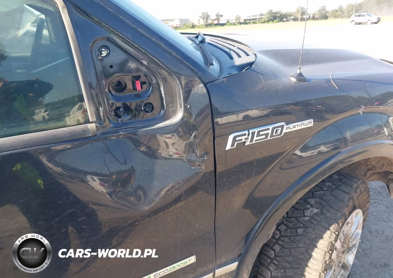 2012 Ford F-150 Platinum VIN:1FTFW1ETXCFC95322 - 18