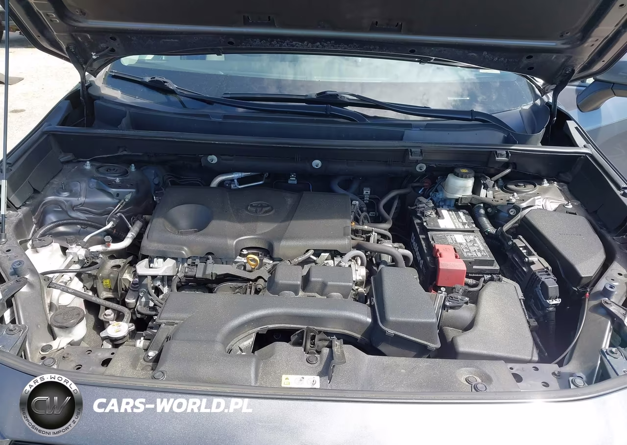 2022 Toyota Rav4 Xle VIN:2T3W1RFV8NW203123 - 10