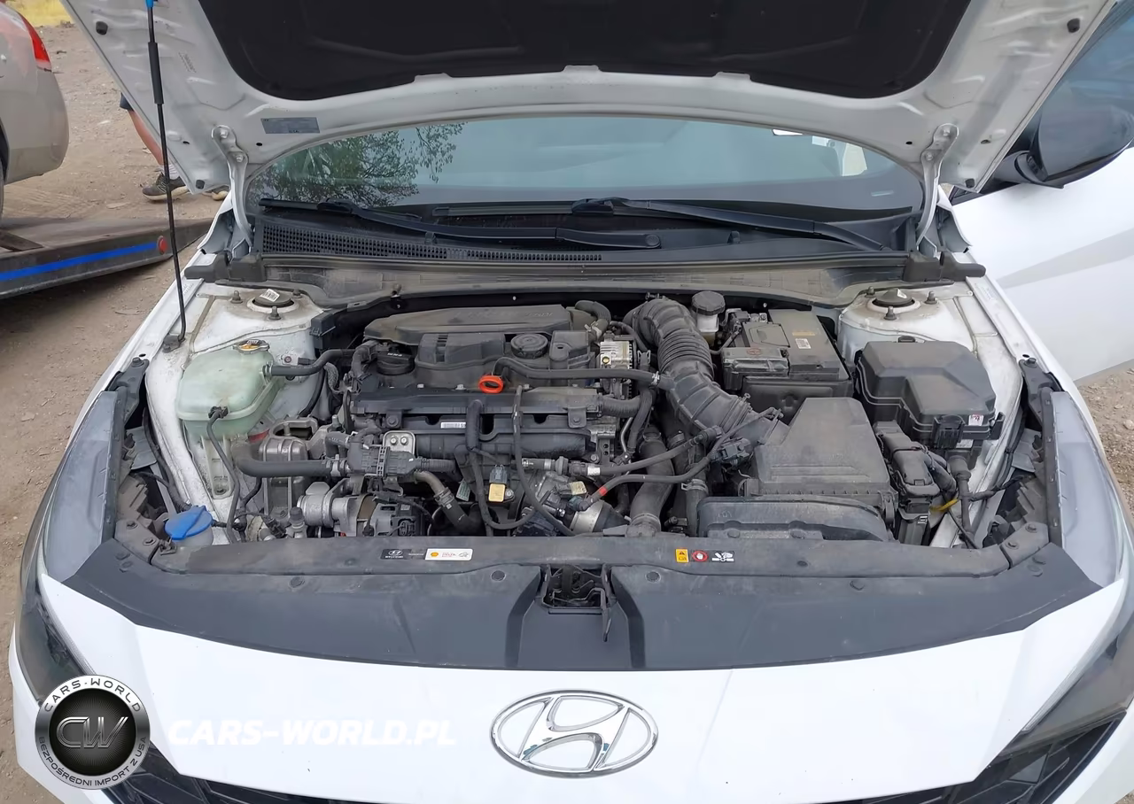 2021 Hyundai Elantra N Line VIN:KMHLR4AF9MU156013 - 10
