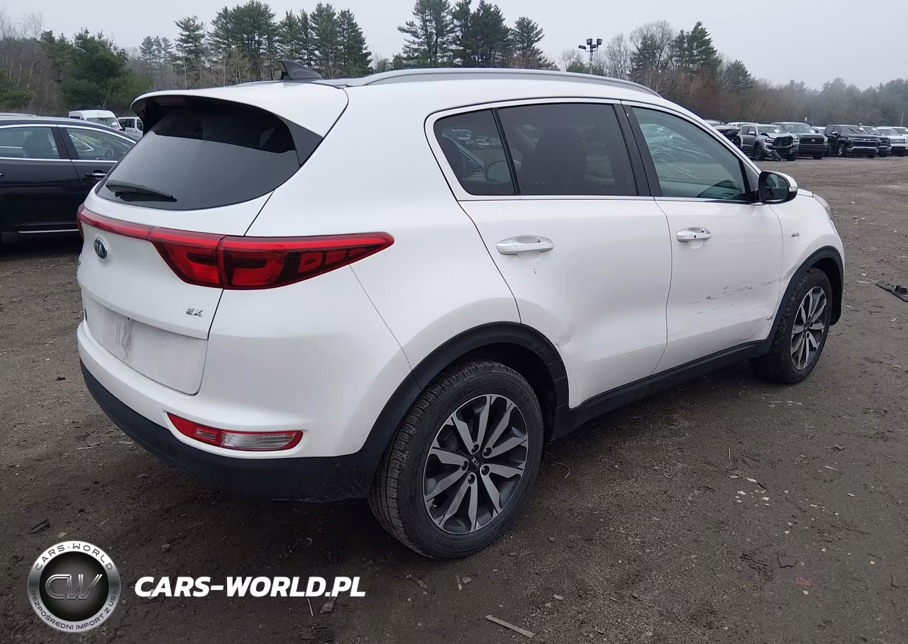 2017 Kia Sportage Ex VIN:KNDPNCAC5H7106196 - 4