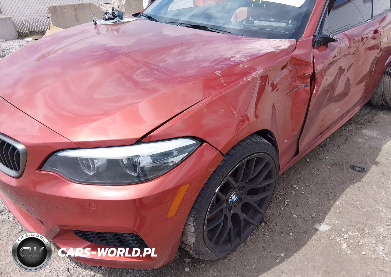 2020 BMW M240I VIN:WBA2J5C09L7D98738 - 6